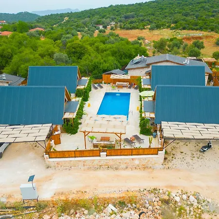 Vila Aga Villalari *